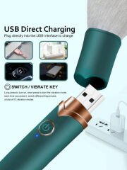 Chisa USB Şarj Edilebilir 10 Hızlı Silikon Makyaj Fırçası