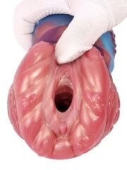 Yaratık Tasarımlı Sıvı Silikon Vajina Mastürbatörü | 724Haz