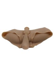 Giyilebilir Silikon Vajina, Realistik Görünüm & Esnek Yapı | 724Haz