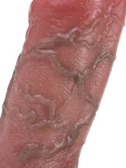 Dolgulu Testis Geçmeli Penis Kılıfı | Esnek, Dolgulu & Konforlu | 724Haz